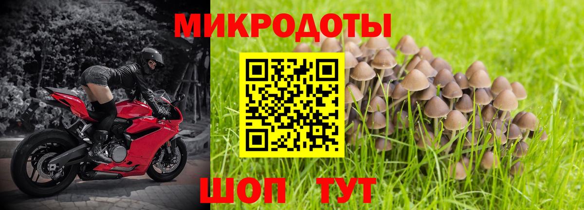 Псилоцибиновые грибы MAGIC MUSHROOMS Кунгур